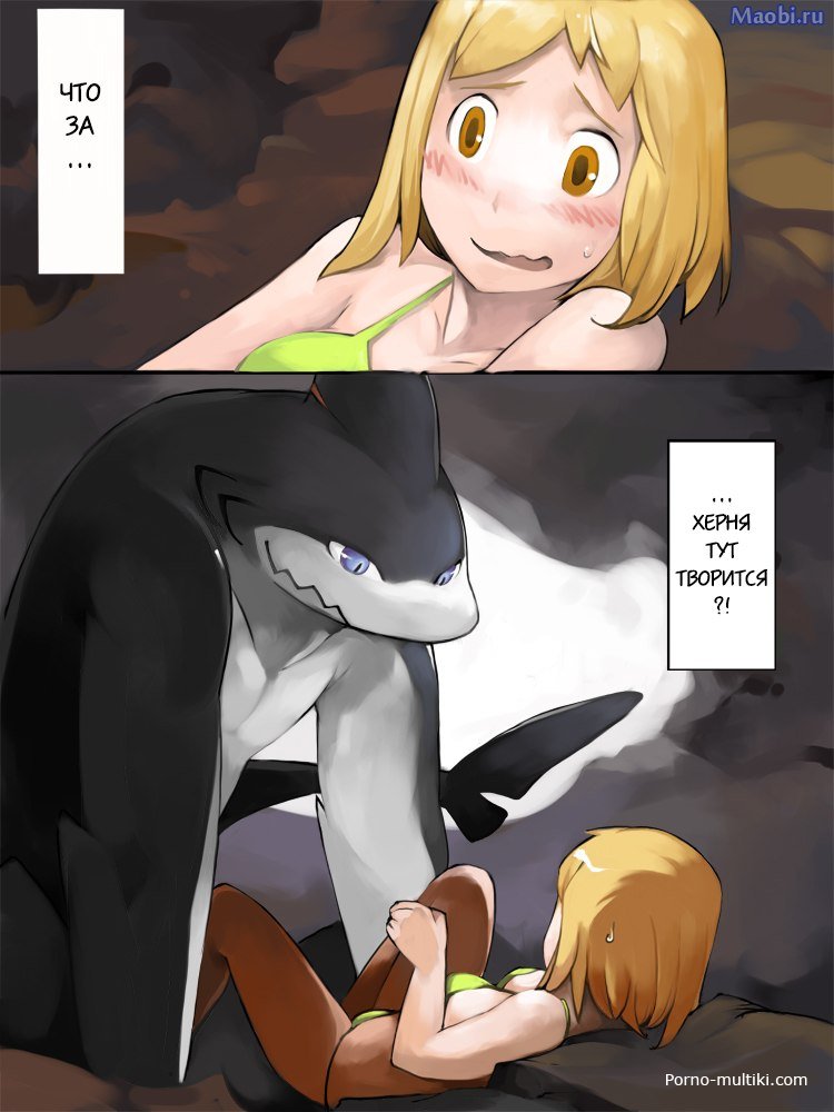 Брачные игры акул